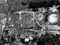 Autofriedhof - 151